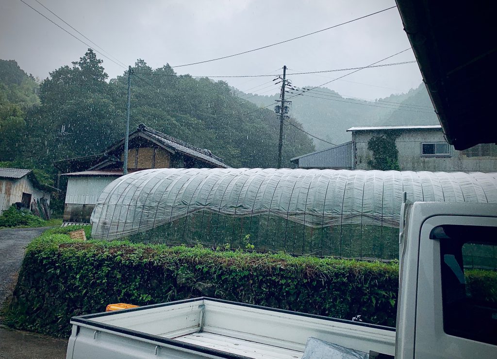 有機野菜の郷も大雨
